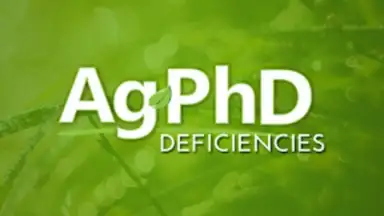 Screenshot von Ag PhD Deficiencies 3