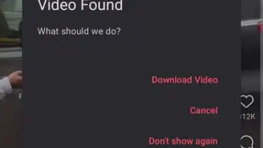 Screenshot von VidMad Video Downloader 2