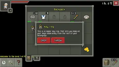 Screenshot von Pixel Dungeon ML 11