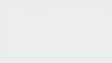 Screenshot von Web Video Downloader 2