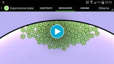 Screenshot von Cell Lab 1