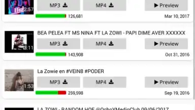 Screenshot von YT3 Music Downloader 11