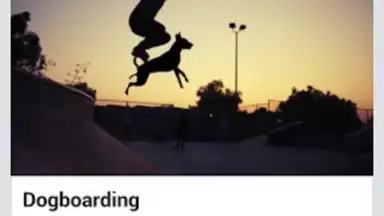 Screenshot von AVD Android Video Downloader 3