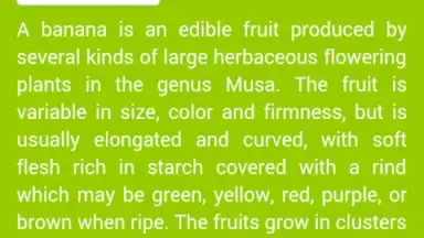 Screenshot von Food Dictionary 3
