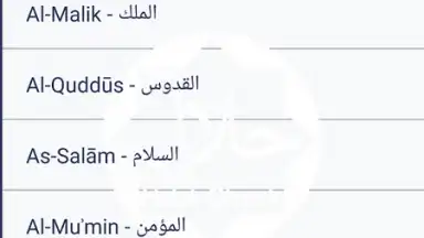 Screenshot von Halal Check 1