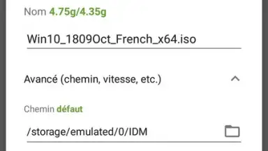 Screenshot von IDM (internet download menager) 3