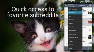 Screenshot von BaconReader for Reddit 3