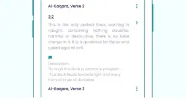 Screenshot von The Holy Quran - English 3