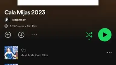 Screenshot von Spotify 10