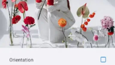 Screenshot von Link Messenger 5
