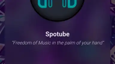 Screenshot von Spotube 1