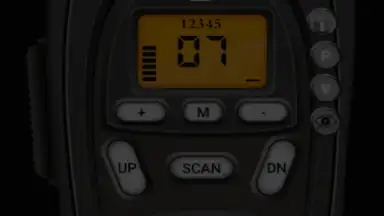 Screenshot von Online Walkie Talkie Pro PTT 5