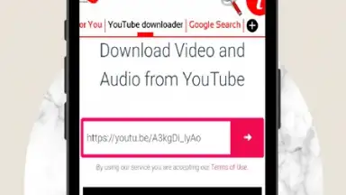 Screenshot von Instant GO videos & audios downloader 4