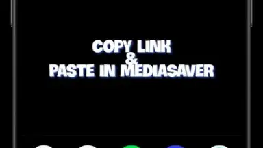 Screenshot von Media Saver 1