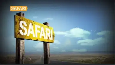 Screenshot von Safari 3