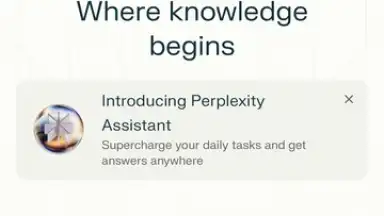 Screenshot von Perplexity 1