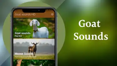 Screenshot von Goat Sounds 10