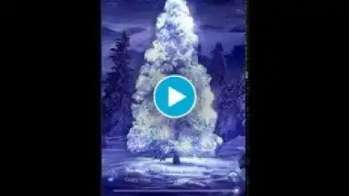 Screenshot von 3D Player 1