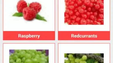 Screenshot von Food Dictionary 4