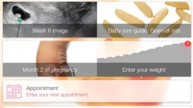 Screenshot von Pregnancy + 10