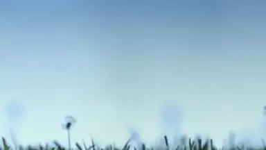 Screenshot von Advanced Task Manager - Killer 4