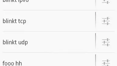 Screenshot von OpenVPN 4