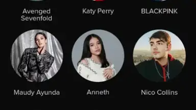 Screenshot von TikTok Music 1