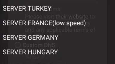 Screenshot von DNS-TM 1