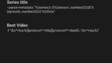 Screenshot von YTDLnis 14