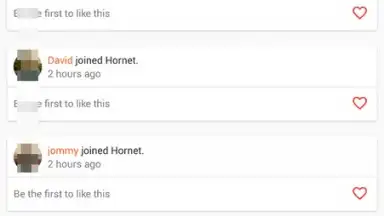 Screenshot von Hornet 7