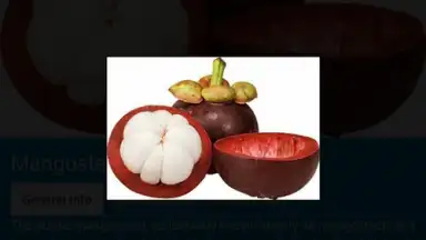 Screenshot von Food Dictionary 8