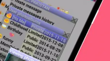 Screenshot von AVACS Live Chat 2