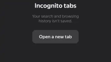Screenshot von Yandex 6