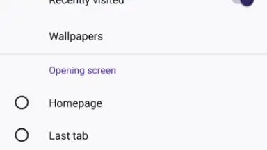 Screenshot von Firefox 2