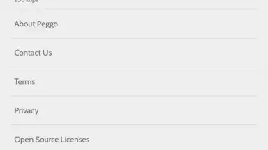 Screenshot von Peggo - YouTube to MP3 Converter 7