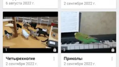 Screenshot von Video App for VK 3