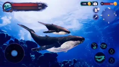 Screenshot von The Humpback Whales 17