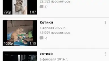 Screenshot von Video App for VK 5