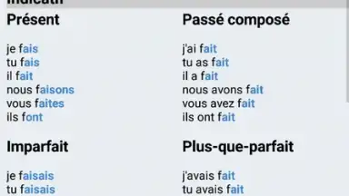 Screenshot von Le Conjugueur 7