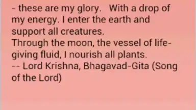 Screenshot von Daily Hindu Prayers 9