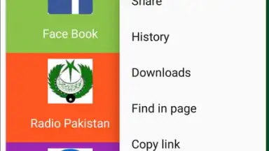 Screenshot von Pak Browser 6