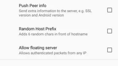 Screenshot von OpenVPN 20