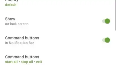 Screenshot von Advanced Download Manager 12