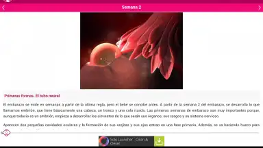 Screenshot von Semanas Embarazo 12