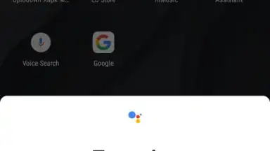 Screenshot von Google Assistant 14