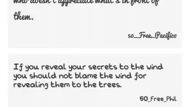 Screenshot von 50 Free Fonts 1