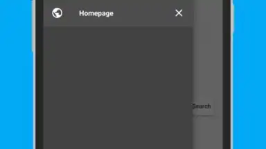 Screenshot von Browser 8G 3