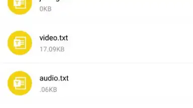 Screenshot von LetsView 4