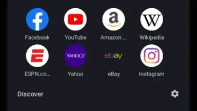 Screenshot von Kiwi Browser 6