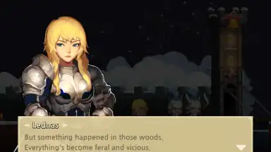 Screenshot von Crusaders Quest 3